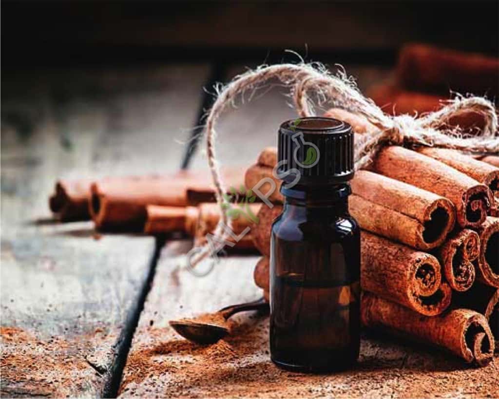 Comprar aceite esencial de canela